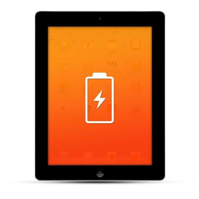 Apple iPad 2 Air 1 Reparatur Akku Austausch + Glas Reparatur