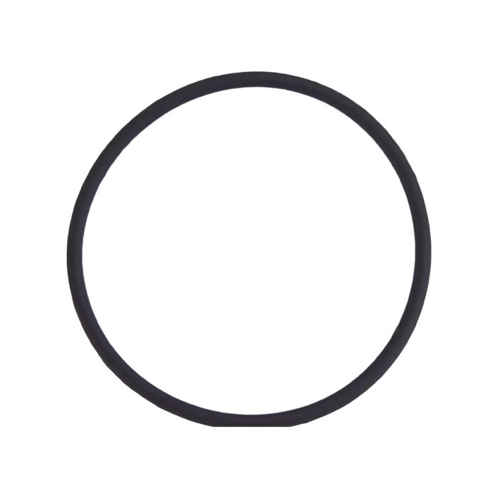 Rückkamera-Linse O-Ring Dichtung für iPhone 8 Plus (100er Pack)