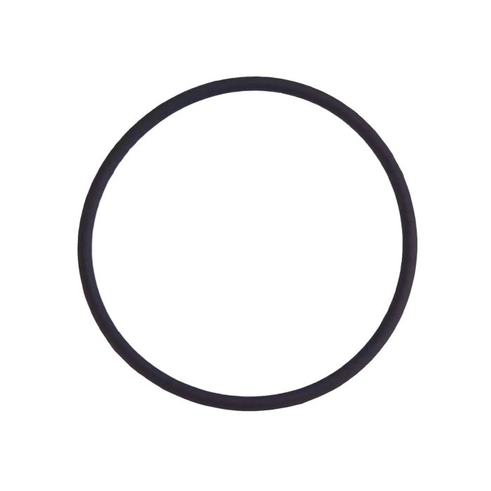 Rückkamera-Linse O-Ring Dichtung für iPhone 7 Plus (100er Pack)