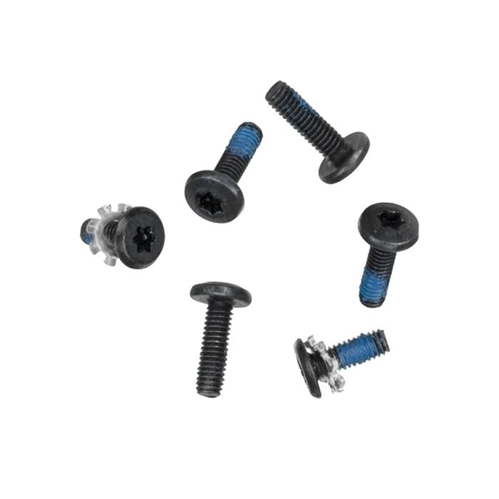 Scharnier Schrauben (Torx T8) für MacBook 13" A1342 (2009-2010)