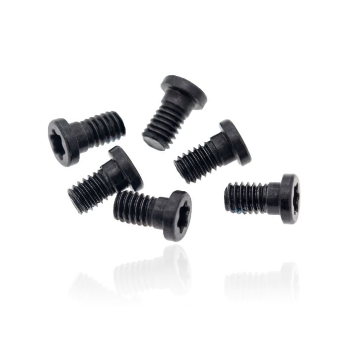 Scharnier Schrauben (Torx T8) für MacBook Pro 13" A1502 (2013-2015)