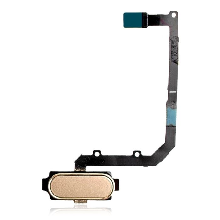 Home-Taste Flexkabel für Samsung Galaxy A9 Pro (A910/ 2016) (Gold)
