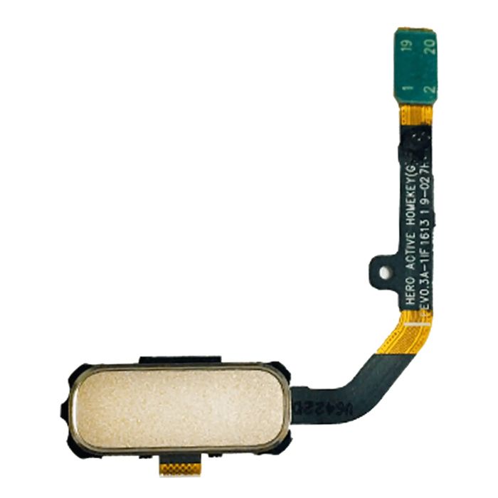 Home-Taste Flexkabel für Samsung Galaxy S7 Active (Sandy Gold)