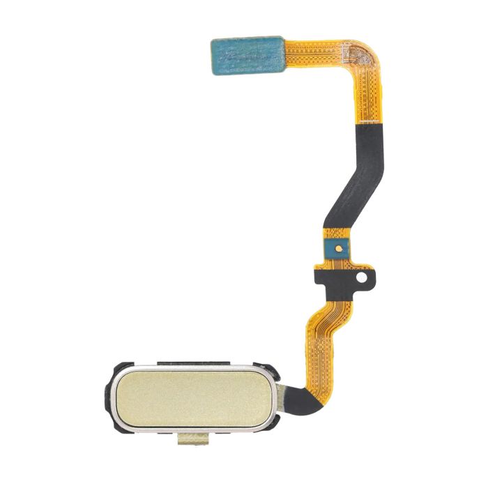 Home-Taste mit Flex für Samsung Galaxy S7 (Gold Platinum)