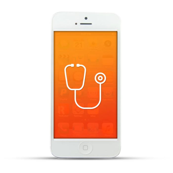 Apple iPhone 5 Reparatur Diagnose