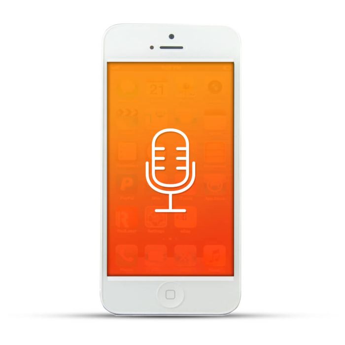 Apple iPhone 5 Reparatur Mikrofon