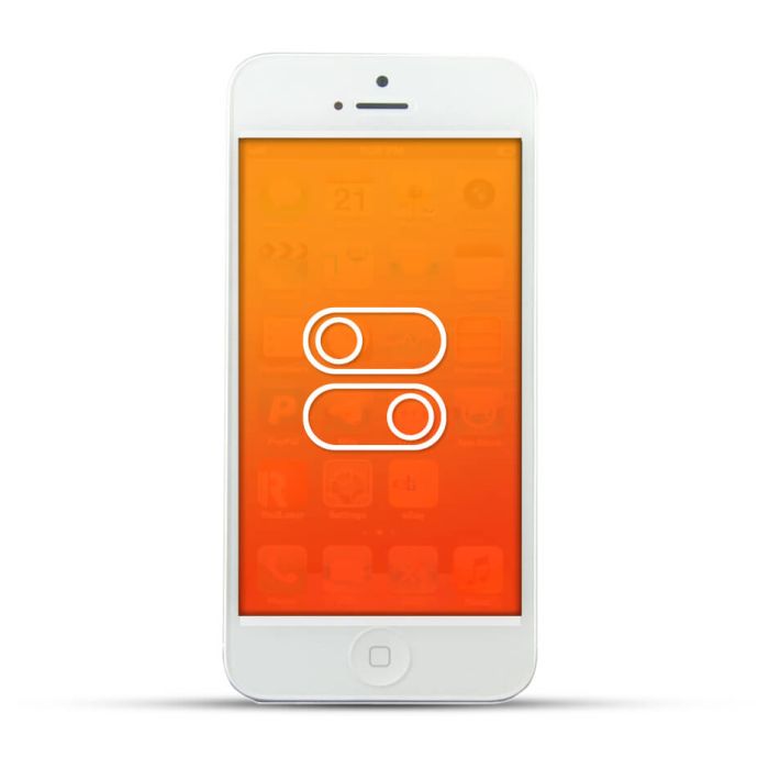 Apple iPhone 5 Reparatur Schalter