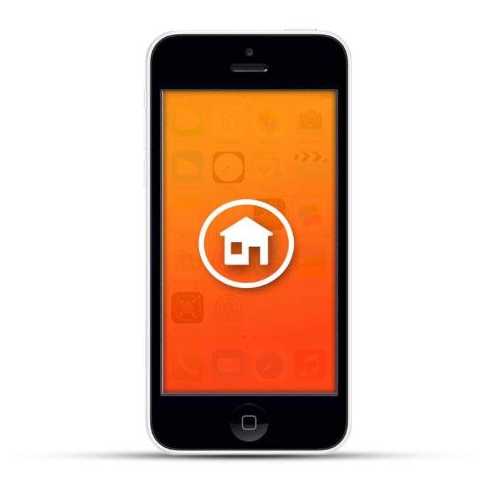 Apple iPhone 5c Reparatur Homebutton