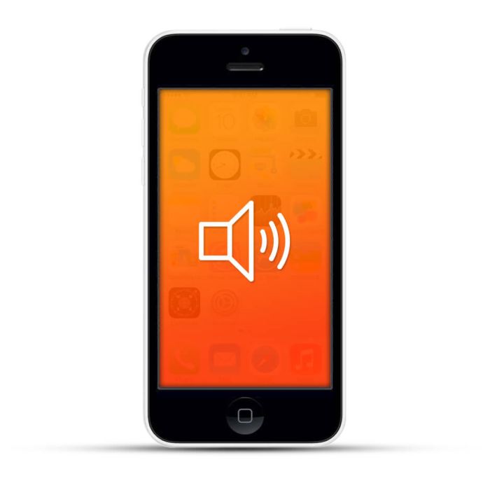 Apple iPhone 5c Reparatur Lautsprecher