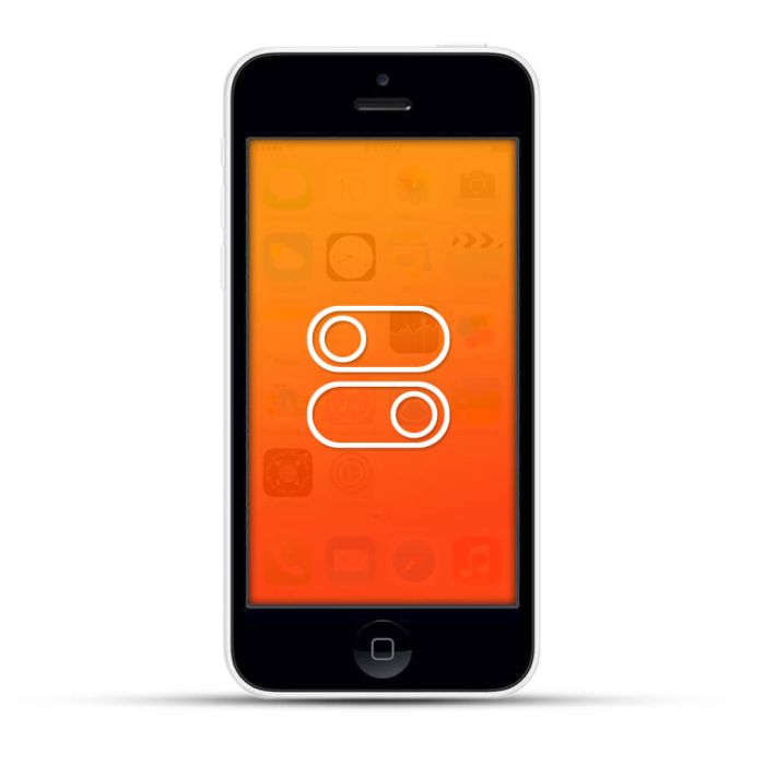 Apple iPhone 5c Reparatur Schalter