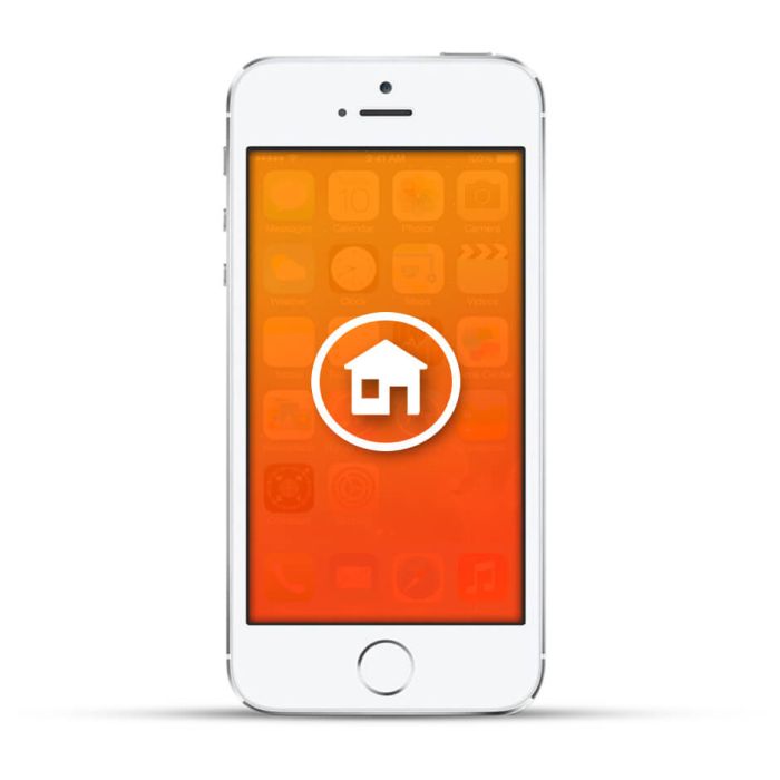Apple iPhone 5s Reparatur Homebutton