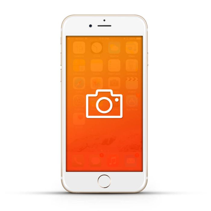Apple iPhone 6 Reparatur Kamera (Front / Back)