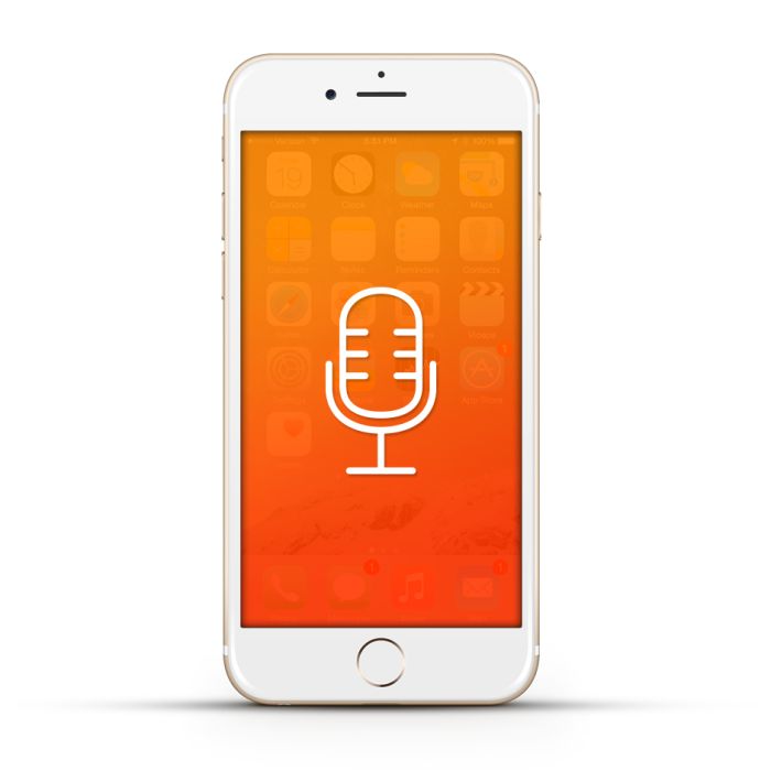 Apple iPhone 6s Reparatur Mikrofon