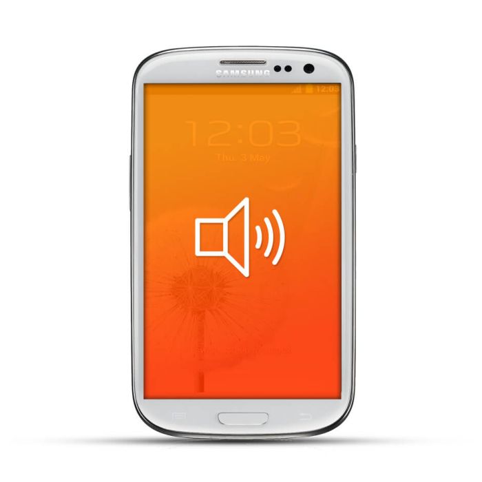 Samsung Galaxy S3 Reparatur Lautsprecher