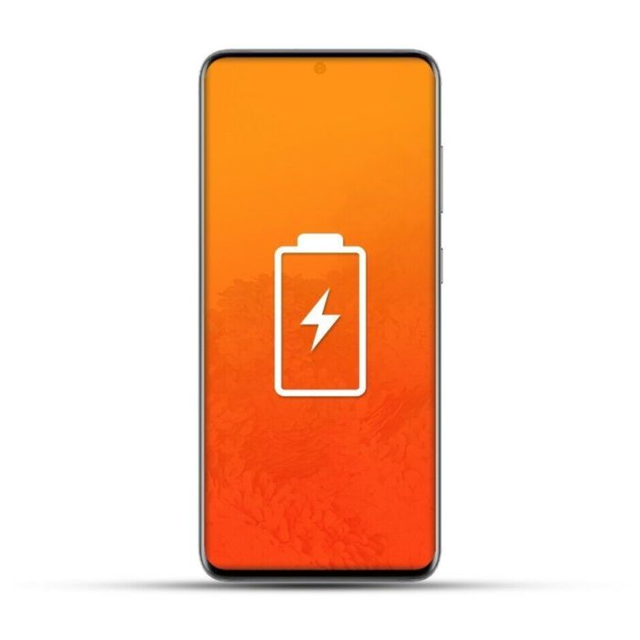 Samsung Galaxy S20 Ultra Reparatur Akku und Kamera Glas hinten