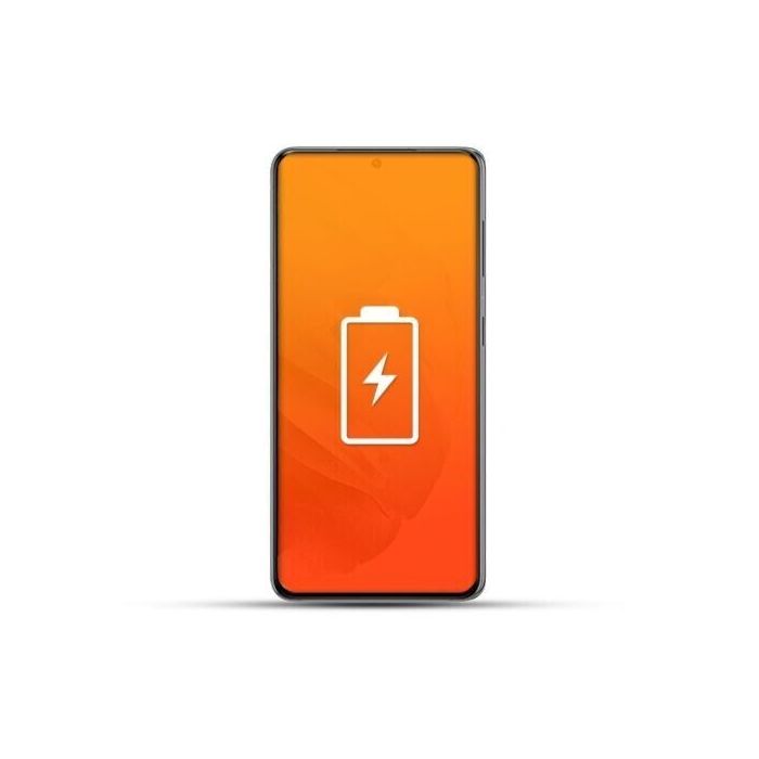 Samsung S21 / S21 Plus / S21 Ultra Reparatur Akku (Kundenteil)