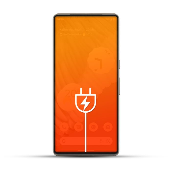 Google Pixel (alle Modelle) Reparatur USB Dock Connector / Ladebuchse