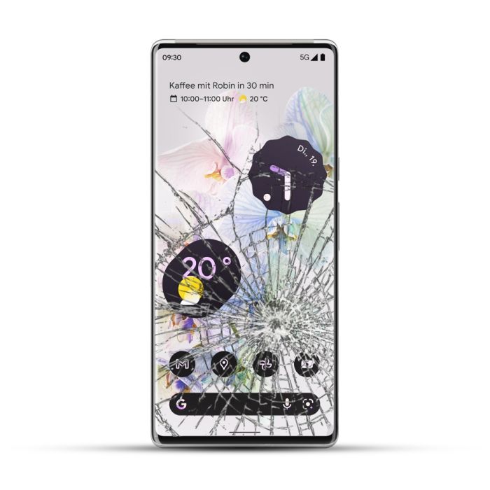Google Pixel 6 Pro Reparatur LCD Display Touchscreen 