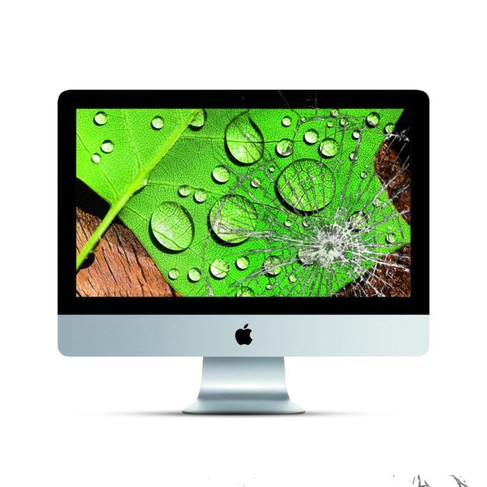Apple iMac 2K 2015 21,5” A1419 Display Reparatur