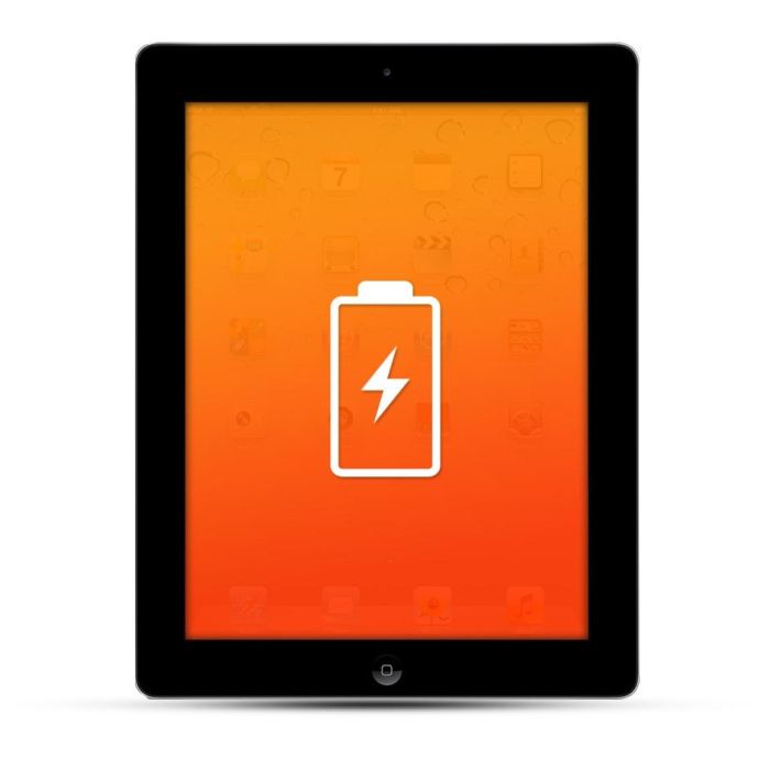 Apple iPad 2 - 9 / Air 1 Reparatur Akku / Akkutausch