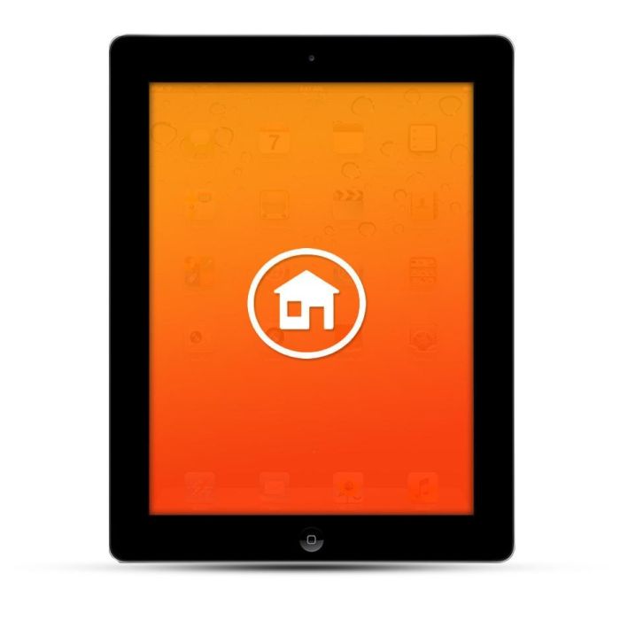 Apple iPad 2 / 3 / 4 / Air 1 Reparatur Homebutton