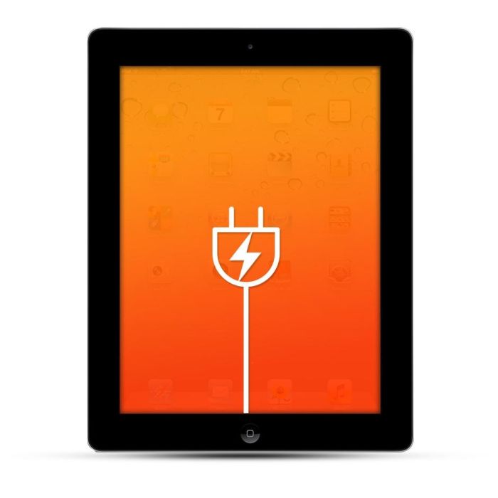 Apple iPad 7 / 8 / 9 / 10 / 11  Reparatur USB Dock / Ladebuchse 