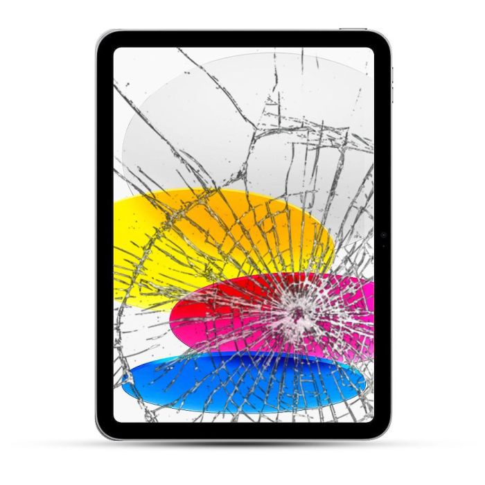 Apple iPad 10. Generation 10.2 (2022) Reparatur Display (LCD oder Touchscreen / Glas)