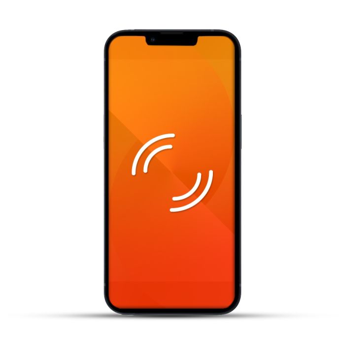 Apple iPhone 13 & 13 mini & 13 Pro & 13 Pro Max Reparatur Vibrationsalarm