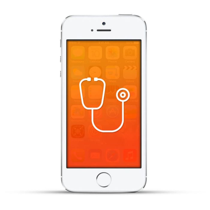 Apple iPhone 5s Reparatur Diagnose