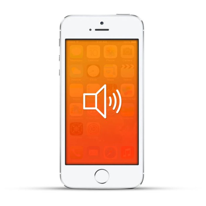 Apple iPhone 5s Reparatur Lautsprecher