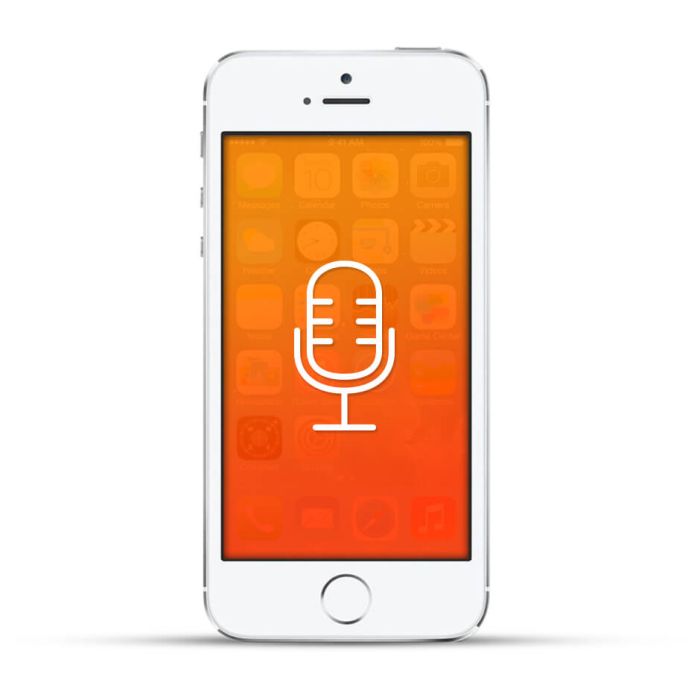 Apple iPhone 5s Reparatur Mikrofon