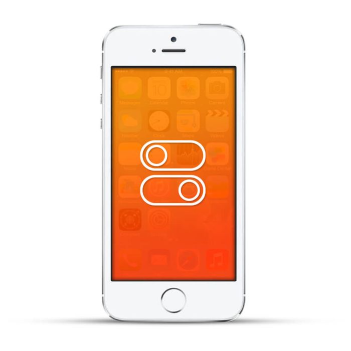 Apple iPhone 5s Reparatur Schalter