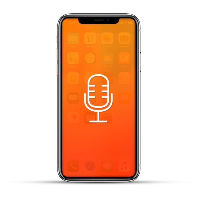 Apple iPhone X Reparatur Mikrofon