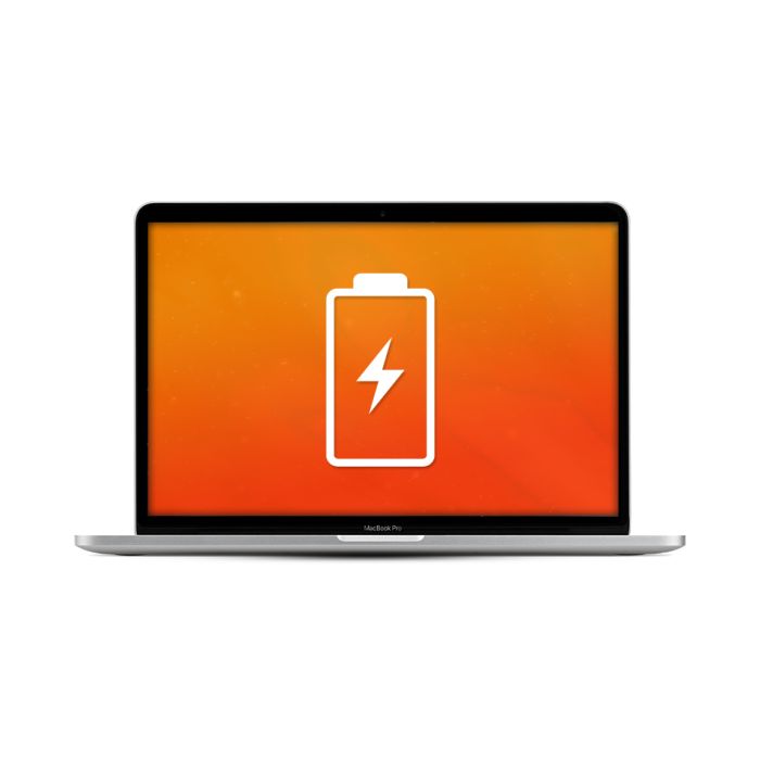 Apple MacBook Pro Retina 13” A1708 2016-2017 Akku / Austausch