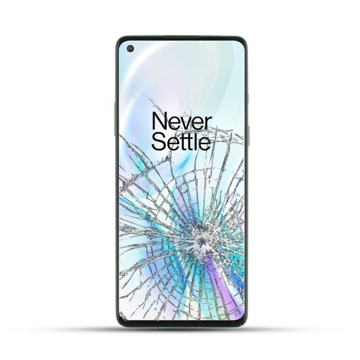 OnePlus 9 Reparatur Touchscreen Display LCD