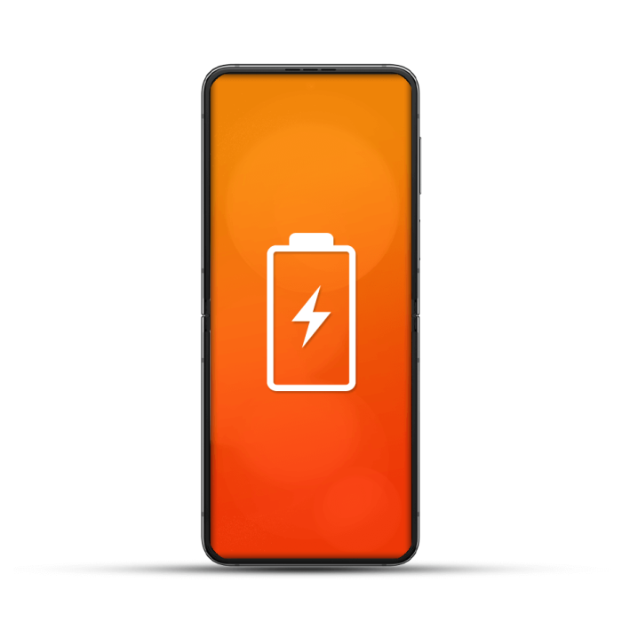 Samsung Z Flip 3 / 4 / 5 / 6 / 7 / 7 FE Reparatur Akku / Akkutausch (beide)