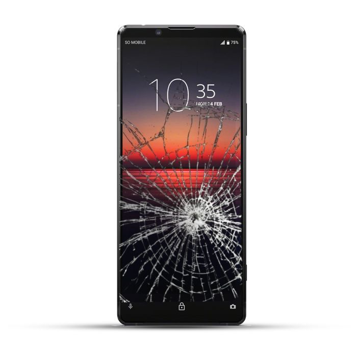 Sony Xperia 1 / 1 II Reparatur LCD Display Touchscreen