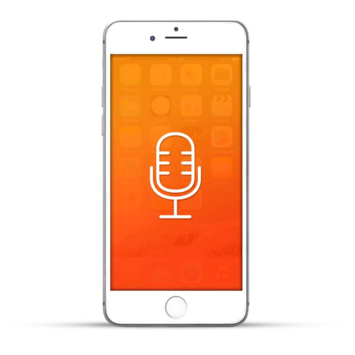 Apple iPhone 6 Plus Reparatur Mikrofon