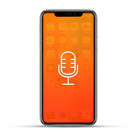 Apple iPhone XS / XS MAX Reparatur Mikrofon 
