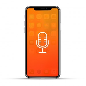 Apple iPhone X Reparatur Mikrofon 