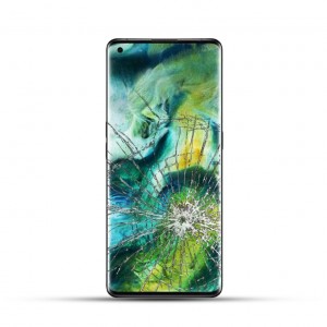 Oppo Find X2 Pro Reparatur Display LCD Touchscreen