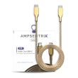 3 ft USB Type C To USB Type C Kabel (AmpSentrix) (Infinity) (Gold)