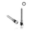 Schrauben unten für iPhone X to 12 Pro Max (Silber) (100er Pack)