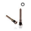 Pentalobe-Schrauben für iPhone X - 12 Pro Max (10er Pack) (Gold)