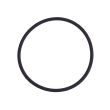 Rückkamera-Linse O-Ring Dichtung für iPhone 7 Plus (100er Pack)