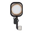 Home-Taste mit Flex für iPhone 6/ 6 Plus (Gold)