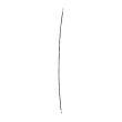 Antenne Verbindungskabel für OnePlus 2