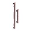 Tasten (Power/ Volume) für Samsung Galaxy S21 Ultra (Phantom Titanium)