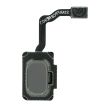 Fingerabdruck Leser mit Flexkabel für Samsung Galaxy S9/ S9 Plus (Arctic Silver)