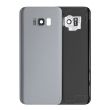 Rückglas mit Kameralinse für Galaxy S8 Plus (Service Pack) (Arctic Silver)